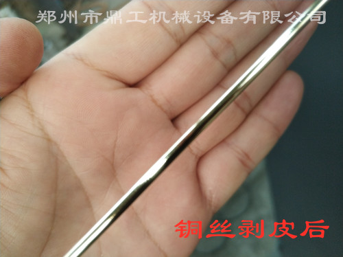 銅絲剝皮后.jpg