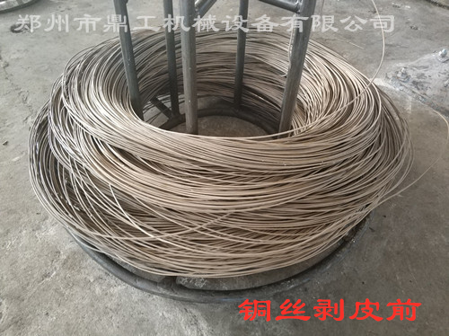 銅絲剝皮前.jpg